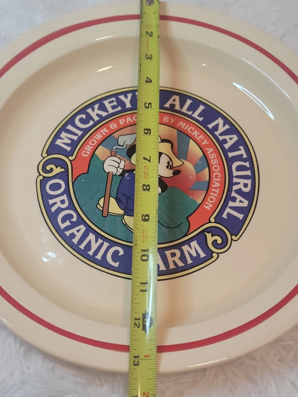 Disney's Mickey Organic Farm Ceramic Serving Plate - 13.5